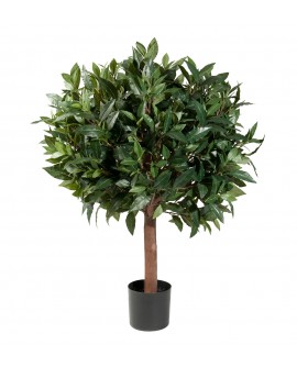 Loorberipuu 80cm